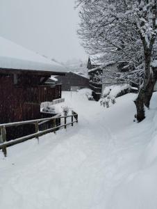 Appartement aux pieds des pistes / piscine v zime