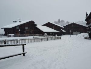 Appartement aux pieds des pistes / piscine v zime