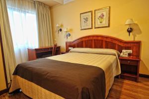 Postel nebo postele na pokoji v ubytování Hotel Alisi