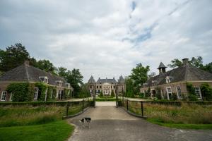 a dog walking down a road in front of a mansion at Capsula aan de Wadi in Diepenheim