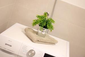 Fotografie z fotogalerie ubytování Apartments Mak v destinaci Moravske Toplice + 17 fotografií