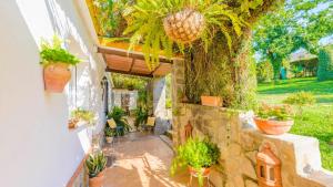 Zahrada ubytování Casa Rincon de la Abuela Maria Prado del Rey by Ruralidays