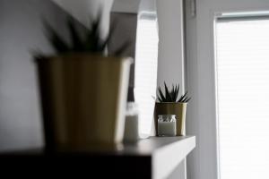 Fotografie z fotogalerie ubytování Apartman Vića v destinaci Jagodina