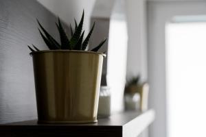 Fotografie z fotogalerie ubytování Apartman Vića v destinaci Jagodina