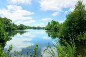 Naturlandskabet i nærheden af feriehuset
