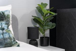 una planta en un jarrón negro sobre una mesa en MARGI Melia Apartament BASEN POOL SAUNA, en Szczecin 11 fotos más