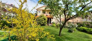 Zahrada ubytování Guest House Krk Town Centre