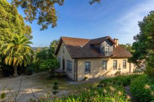 an exterior view of a house with a palm tree at Casa de Valdemar in Felgueiras