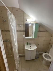 a bathroom with a sink and a toilet at Pensiunea Hășmaș in Lacu Rosu +44 photos