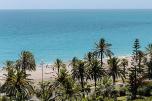 Blick auf einen Strand mit Palmen und dem Meer in der Unterkunft AC Hotel by Marriott Nice in Nizza
