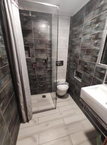 a bathroom with a shower with a toilet and a sink at Ilaira Beach Apartments in Chrani +12 photos