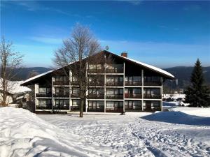 Apartman Mitterdorf v zimě