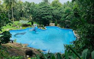 an overhead view of a large blue swimming pool at Sisiliyana Stone Resort in Gonapola