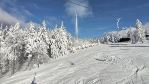 Apartman Mitterdorf v zimě