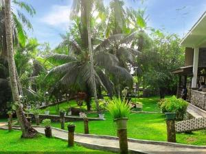 a green yard with palm trees and a house at Sisiliyana Stone Resort in Gonapola +37 photos