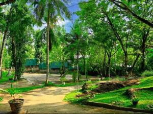a park with palm trees and a train in the background at Sisiliyana Stone Resort in Gonapola