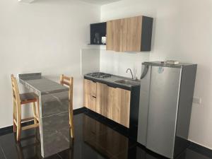 RoldanilloApartaestudio en pueblo mágico的厨房配有不锈钢冰箱和水槽