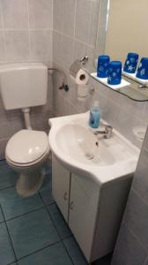 Kúpeľňa v ubytovaní Apartment in Privlaka with sea view, terrace, air conditioning, WiFi 3591-2