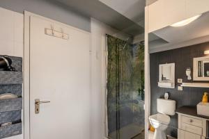a bathroom with a shower and a toilet at Das Spatzennest in Bad Sachsa +17 photos
