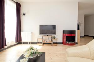 Una sala de estar con un sofá y un televisor. en Apartments Villa Schwan, en Wunstorf