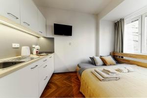 TV a/nebo společenská místnost v ubytování Serenity Apartment Pellicova