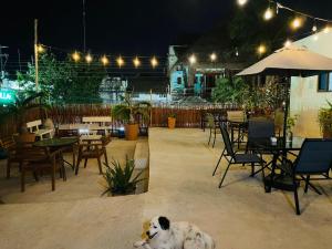 Fotografie z fotogalerie ubytování MAYAB Holbox v destinaci Ostrov Holbox