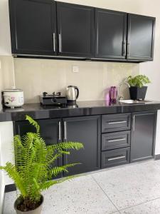 Kuchyň nebo kuchyňský kout v ubytování Monstera Haven Hiriketiya