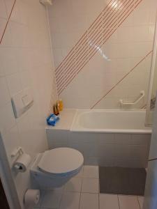 Le Nid d'aigle apt Leysin centre avec forfait piscine sauna jacuzzi en option的一间浴室