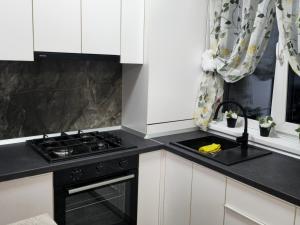Η κουζίνα ή μικρή κουζίνα στο 89 Apart Lux Fundeni