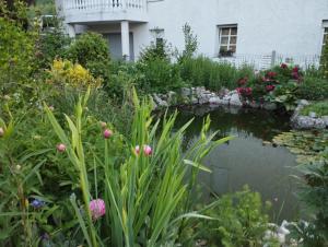 a pond in a garden in front of a house at Haus zum Badeteich in Neubach