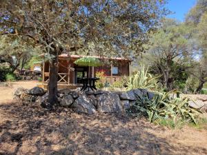 Κήπος έξω από το Chalet Cosy - U Nestru