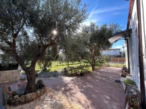 a stone walkway with trees and a building at casa Sa Breca in Tertenìa