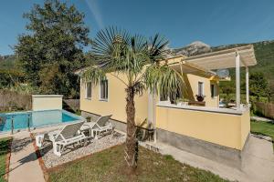 a house with a palm tree next to a swimming pool at Villa Relax in Herceg-Novi