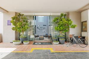レオンにあるHotel Suites México Plaza León Campestreの鉢植えの中庭