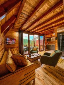 a living room with a couch and chairs in a cabin at Şifaköy Bungalov in Sapanca
