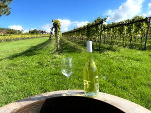 Zahrada ubytování Kellerstöckl - Zur Weinrebe