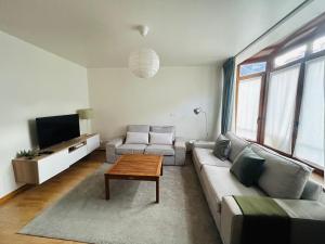 a living room with a couch and a table at Casa de la Tila in Arenas de Cabrales