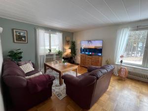 a living room with two couches and a tv at The Villa in Stugun