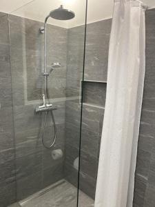 a shower with a shower curtain in a bathroom at Casa Ramarro by Fewotessin in Gordola +16 photos