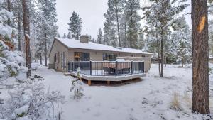 Το Witch Hazel - Unit 1 τον χειμώνα