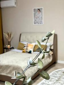 une plante devant un lit dans une chambre dans l'établissement Уютная 1 ком кв рн магазина Жаксы, à Kökşetaw
