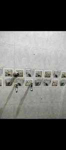 Fotografie z fotogalerie ubytování Krishna Marriott v destinaci Jodhpur