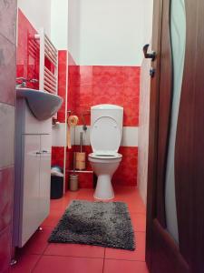 a red bathroom with a toilet and a sink at Apartament Vultur - 3 rooms, 2 bathrooms in Târgu-Mureş