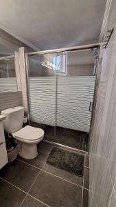 a bathroom with a toilet and a walk in shower at Nylio Apartment in Preveza +25 photos
