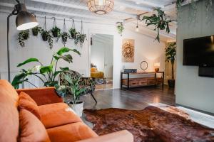 a living room with a couch and some plants at Planty - studio with bath tub in Halle