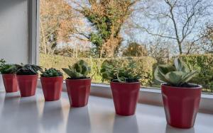 Taman di luar Planty - studio with bath tub