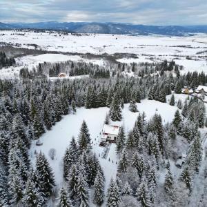 een luchtzicht op een bos van bomen in de sneeuw bij Casa Cifu Toplita in Topliţa