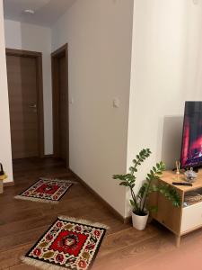 TV a/nebo společenská místnost v ubytování MB LuX + 13 fotografií