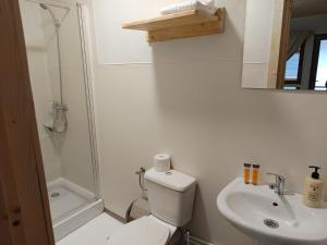 Koupelna v ubytování Nimród fogadó