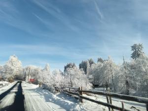 Billede fra billedgalleriet på Nimród fogadó i Valea lui Pavel
